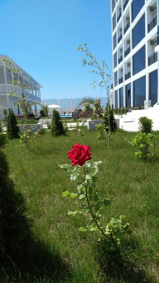 Hotel Paradise Beach #YOK Dış mekan fotoğraf